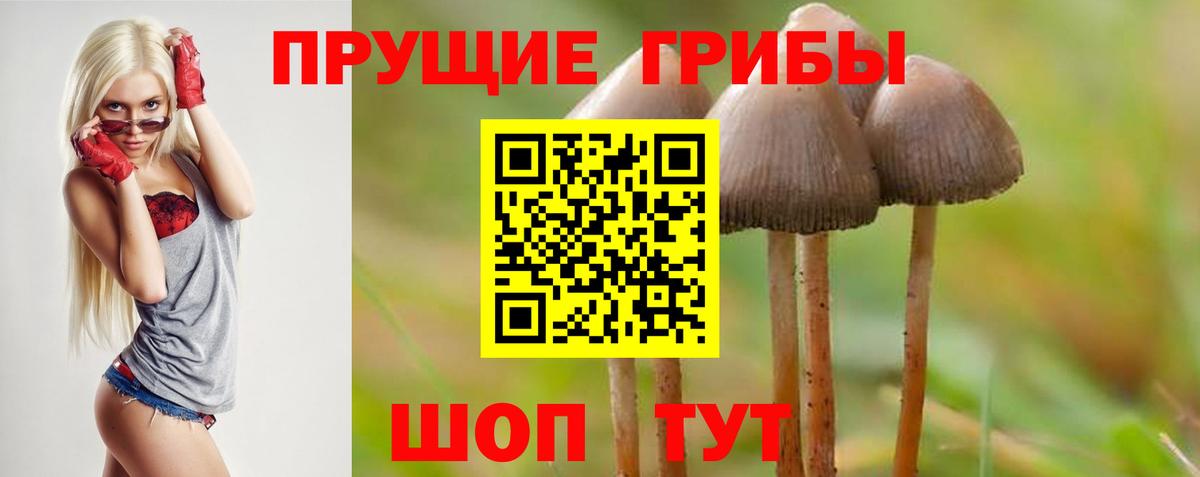 Галлюциногенные грибы MAGIC MUSHROOMS  Вход с VPN  Псилоцибиновые грибы ЛСД  Ишимбай 